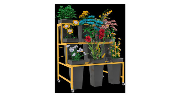 La fleur de profondeur de la taille 590mm du bien mobilier 796mm montrent le support trois couches
